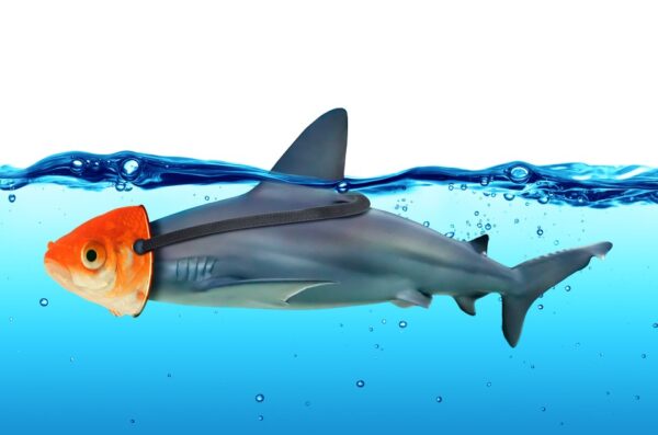 When it Comes to Supply Chain Fraud Risks, are you Swimming with Sharks?  