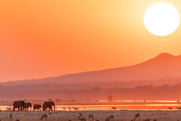 Securing Africa’s Supply Chains: a Call to Action for TAPA EMEA Members